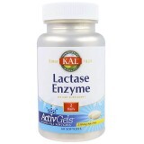 Лактаза Lactase Enzyme KAL 250 мг 60 гелевых капсул