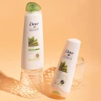 Бальзам-ополаскиватель детокс Dove Nourishing secrets с матча и рисовым молоком 350 мл: цены и характеристики