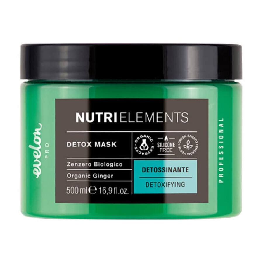 Маска для волосся Evelon Pro Nutri Elements Detox Mask Органічний імбир, 500 мл: ціни та характеристики