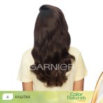 Фарба для волосся Garnier Color Naturals 4 Каштан 110 мл: ціни та характеристики