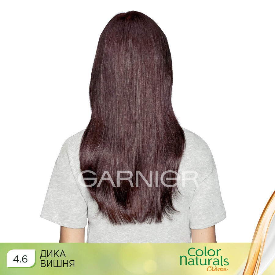 Фарба для волосся Garnier Color Naturals 4.6 Дика вишня 110 мл: ціни та характеристики