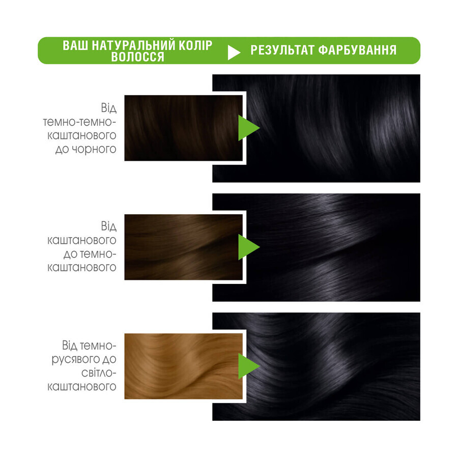 Фарба для волосся Garnier Color Naturals 1+ Ультрачорний 110 мл: ціни та характеристики