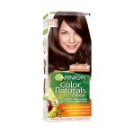 Фарба для волосся Garnier Color Naturals 4.15 Морозний каштан 110 мл: ціни та характеристики
