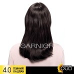 Фарба для волосся Garnier Olia Базова лінійка відтінок 4.0 Темний каштан 112 мл: ціни та характеристики