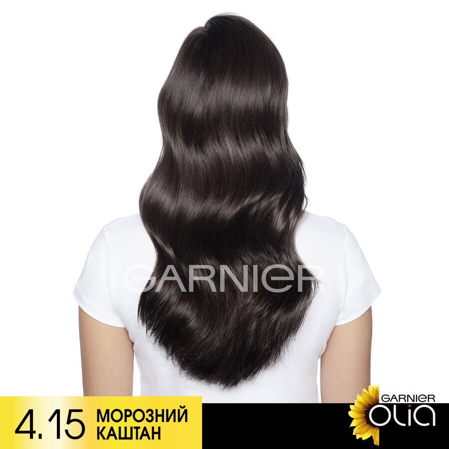 Фарба для волосся Garnier Olia Базова лінійка відтінок 4.15 Морозний каштан 112 мл: ціни та характеристики