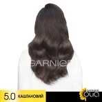 Фарба для волосся Garnier Olia Базова лінійка відтінок 5.0 Каштановий 112 мл: ціни та характеристики