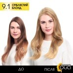 Фарба для волосся Garnier Olia Базова лінійка відтінок 9.1 Сріблястий блонд 112 мл: ціни та характеристики