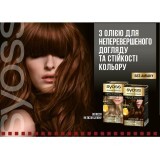 Краска для волос SYOSS Oleo Intense 4-60 Золотистый каштановый 115 мл