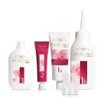 Стійка крем-фарба для волосся L'Oreal Paris Excellence Creme 4.00 - Каштановий 176 мл: ціни та характеристики