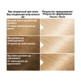 Фарба для волосся Garnier Color Naturals 1001 Попелястий ультраблонд 110 мл