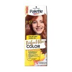 Краска для волос Palette Perfect Gloss Color 7-57 Светло-медный с аргановым маслом 70 мл: цены и характеристики
