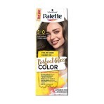 Безаміачна фарба для волосся Palette Perfect Gloss Color Каштан з аргановою олією, 70 мл: ціни та характеристики