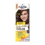 Безаміачна фарба для волосся Palette Perfect Gloss Color Гаряче капучино з аргановою олією, 70 мл: ціни та характеристики