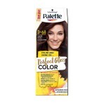 Безаміачна фарба для волосся Palette Perfect Gloss Color Темний мокко з аргановою олією, 70 мл: ціни та характеристики
