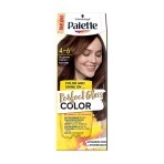 Безаммиачная краска для волос Palette Perfect Gloss Color Ледяной каштан с аргановым маслом, 70 мл: цены и характеристики
