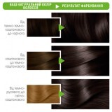 Стійка фарба для волосся Garnier Color Naturals інтенсивне живлення Перламутровий темний каштан 3.12 112 мл