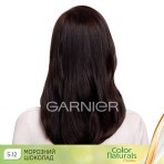 Стійка фарба для волосся Garnier Color Naturals інтенсивне живлення Морозний шоколад 5.12 112 мл: ціни та характеристики