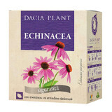Чай ехінацея (Echinacea), 50г, Dacia Plant