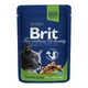 Brit