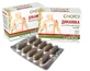 Динамика Choice Phyto Борьба с хронической усталостью 30 капсул