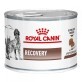 Лечебные консервы для собак и кошек Royal Canin Recovery 195 г
