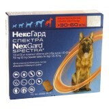 Таблетка от блох и клещей и глистов NexGard Spectra для собак весом от 30 до 60 кг 3 шт