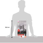 Сухой корм для кошек Purina Pro Plan Original Adult 1+ с лососем 1.5 кг: цены и характеристики