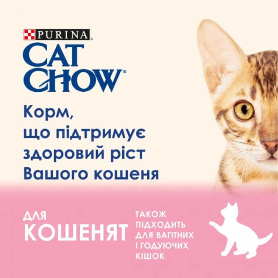 Влажный корм для кошек Purina Cat Chow Kitten с ягненком и цуккини в желе 85г: цены и характеристики