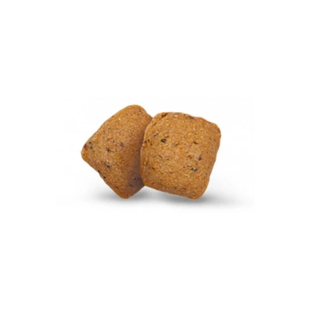 Сухой корм для собак Green Petfood InsectDog Hypoallergen 900 г: цены и характеристики