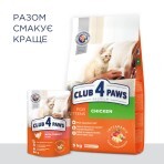 Влажный корм для кошек Club 4 Paws для котят в желе с индейкой 80 г: цены и характеристики
