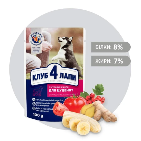 Влажный корм для собак Club 4 Paws для щенков с курицей в желе 100 г: цены и характеристики