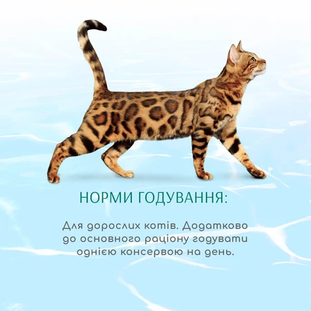 Консервы для кошек Optimeal Beauty Podium полосатый тунец в соусе с кальмарами 70 г: цены и характеристики