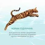Консерви для котів Optimeal Beauty Fitness смугастий тунець у соусі з креветками 70 г: ціни та характеристики