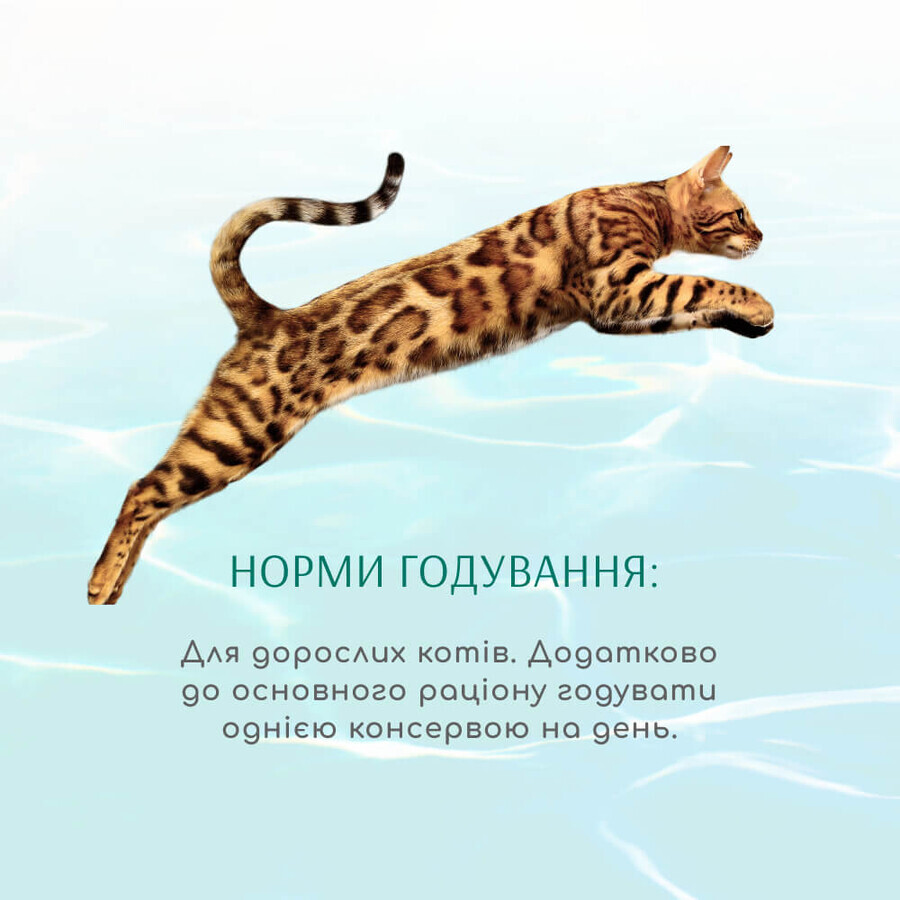 Консерви для котів Optimeal Beauty Fitness смугастий тунець у соусі з креветками 70 г: ціни та характеристики