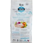 Сухой корм для собак Brit Fresh Fish/Pumpkin Adult Large 12 кг: цены и характеристики