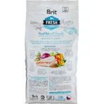 Сухой корм для собак Brit Fresh Fish/Pumpkin Adult Large 12 кг: цены и характеристики