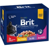 Влажный корм для кошек Brit Premium Cat семейная тарелка ассорти 4 вкуса 100 г х 12 шт