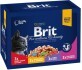 Влажный корм для кошек Brit Premium Cat семейная тарелка ассорти 4 вкуса 100 г х 12 шт