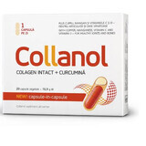 Колланол (Collanol), 20 капсул, Vitaslim