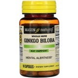 Гинкго Билоба, Ginkgo Biloba, Mason Natural, 90 капсул