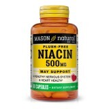 Ніацин 500мг, B3, Niacin Flush Free, Mason Natural, 60 капсул