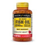 Рыбий жир и Омега 3 1200/360мг, Fish Oil & Omega 3, Mason Natural, 100 гелевых капсул