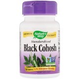 Клопогон Стандартизированный, Black Cohosh, Nature's Way, 40 мг, 60 таблеток