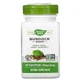 Корень Лопуха, Burdock Root, Nature's Way, 475, 100 капсул