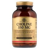 Холін 350 мг, Choline 350 mg, Solgar, 100 рослинних капсул