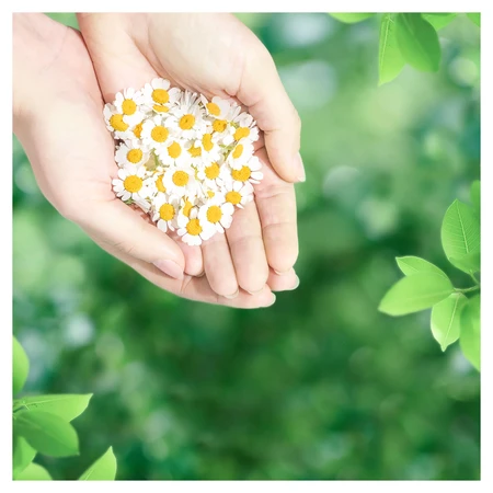Гигиеническая прокладка Naturella Ultra Normal Plus 18 шт.: цены и характеристики