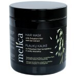Маска для волос Melica Black с экстрактом овса для нормальных волос 200 мл: цены и характеристики