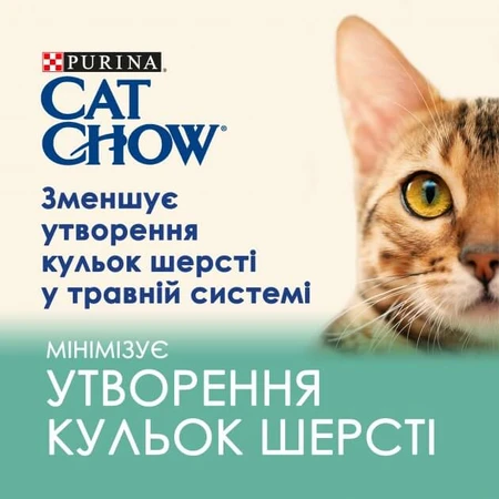 ВОЛОГИЙ КОРМ ДЛЯ КІШОК PURINA CAT CHOW HAIRBALL З КУРКОЮ ТА ЗЕЛЕНОЮ КВАСОЛЕЮ В ЖЕЛЕ 85Г : ціни та характеристики