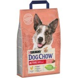 Сухий корм для собак Purina Dog Chow Active Adult зі смаком курки 2.5 кг