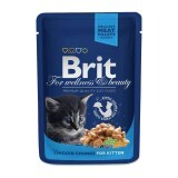 Влажный корм для кошек Brit Premium Cat Pouches Chicken Chunks for Kitten 100 г